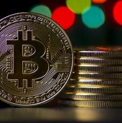 HOW TO CREATE A BITCOIN INVESTMENT WEBSITE & MAKE $$$